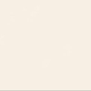 Meet your Posher, Lynette